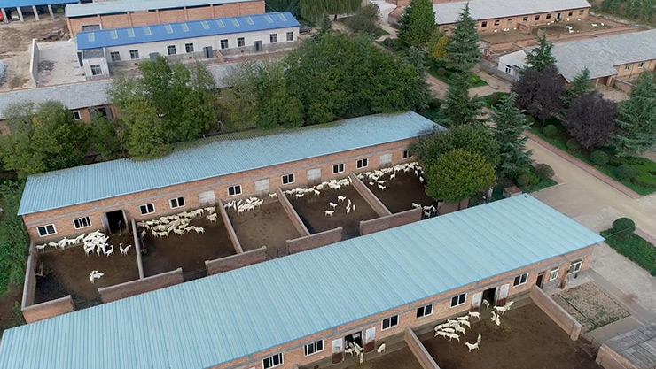 畜牧养殖场如何通风降温?