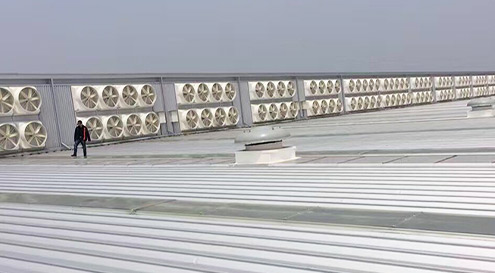 1669189569489499.jpg 屋顶气楼排风:昆山誉球-.jpg