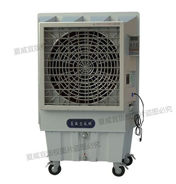 1670310051748969.jpg 220Y.jpg