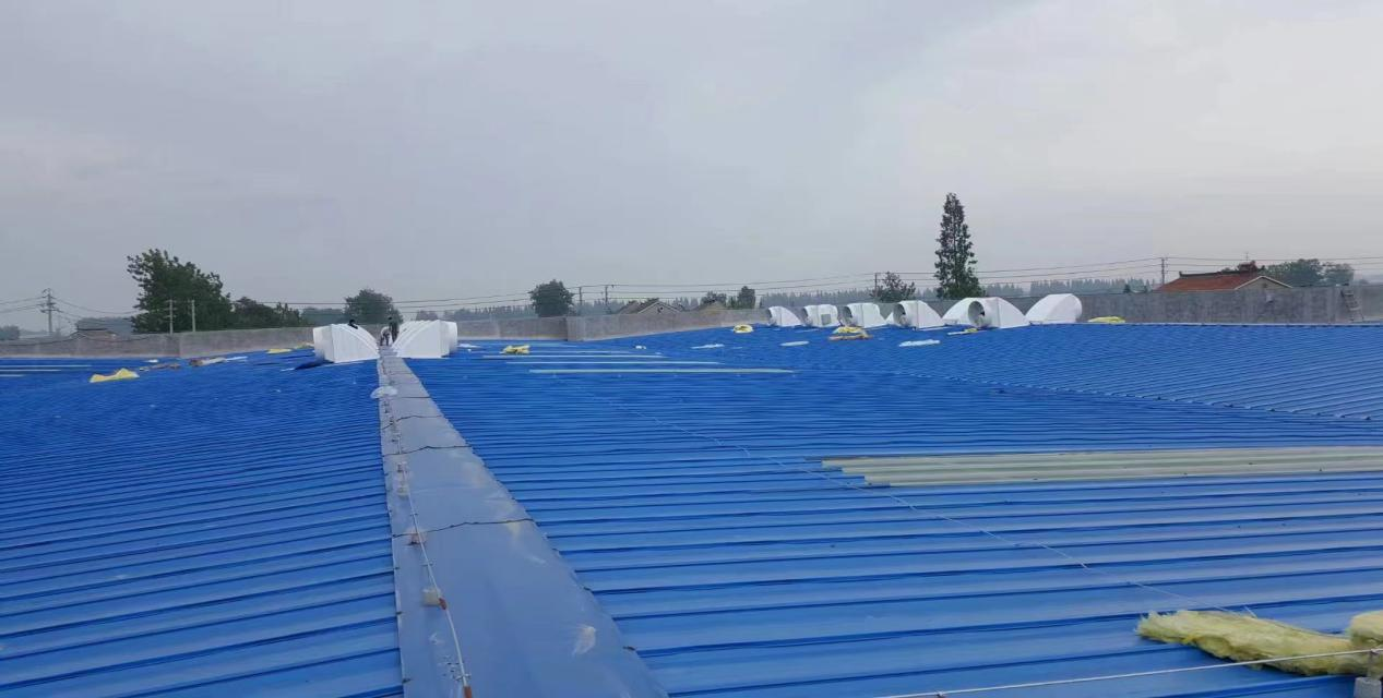 1709019413137551.jpg 1709019410416.jpg