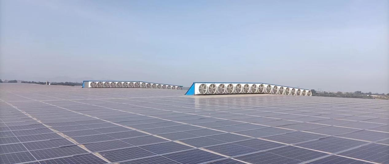 1709019454180165.jpg 1709019451587.jpg