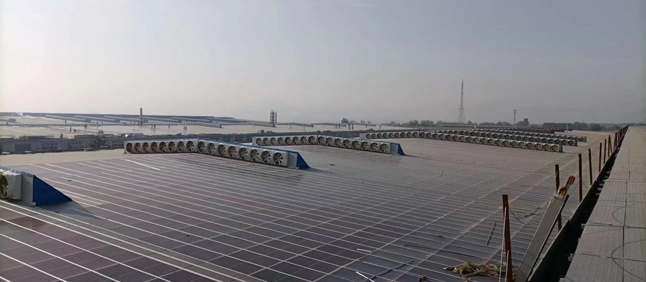 1709019470749154.jpg 1709019467216.jpg