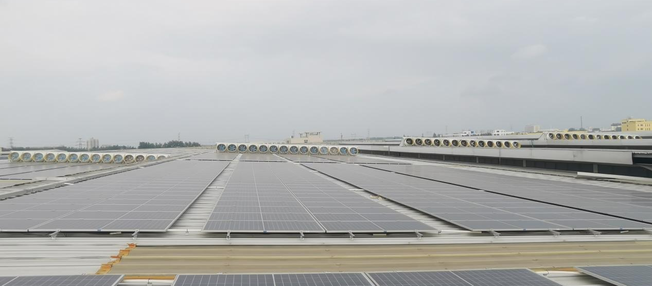 1709019498683157.jpg 1709019494624.jpg