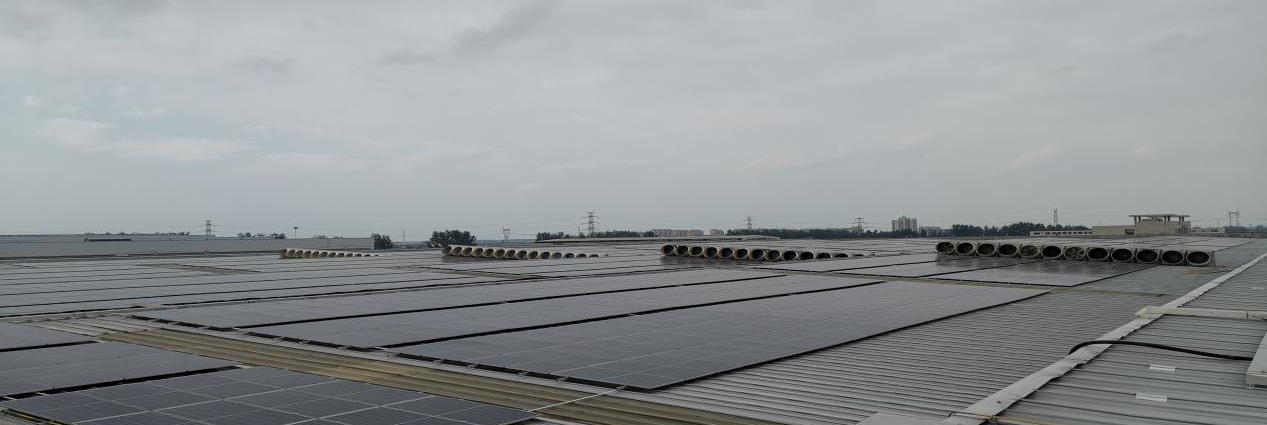 1709019518513965.jpg 1709019515875.jpg