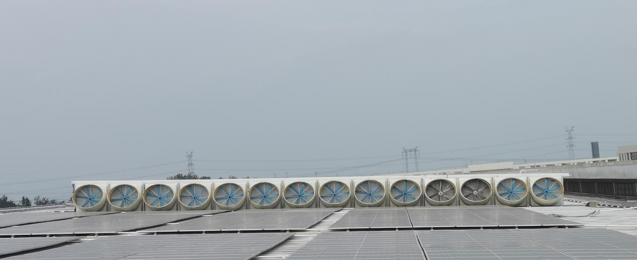 1709019531639725.jpg 1709019528346.jpg